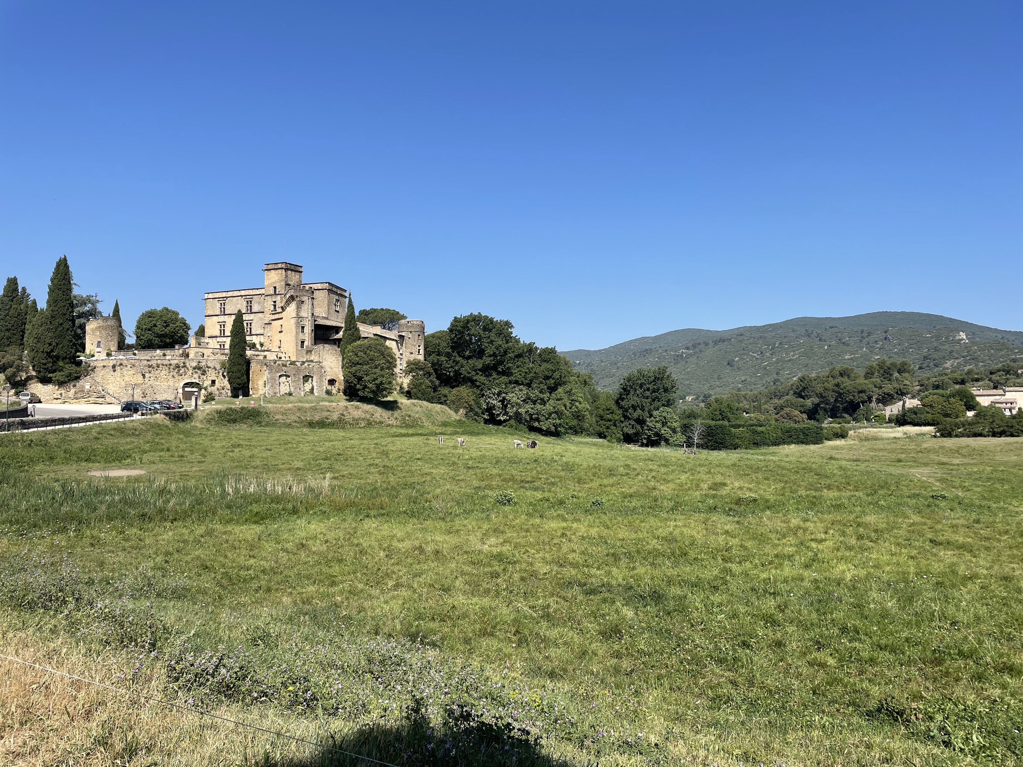 Photo n° 1 de l'avis de Ève.. fait le 22/06/2021 à 08:21