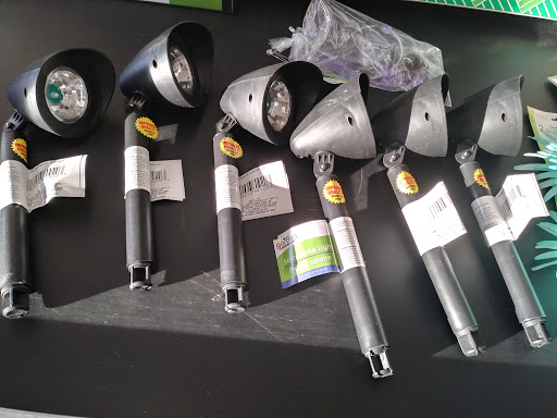 Dollar Store «Dollar Tree», reviews and photos, 2704 E Burleigh Blvd, Eustis, FL 32726, USA