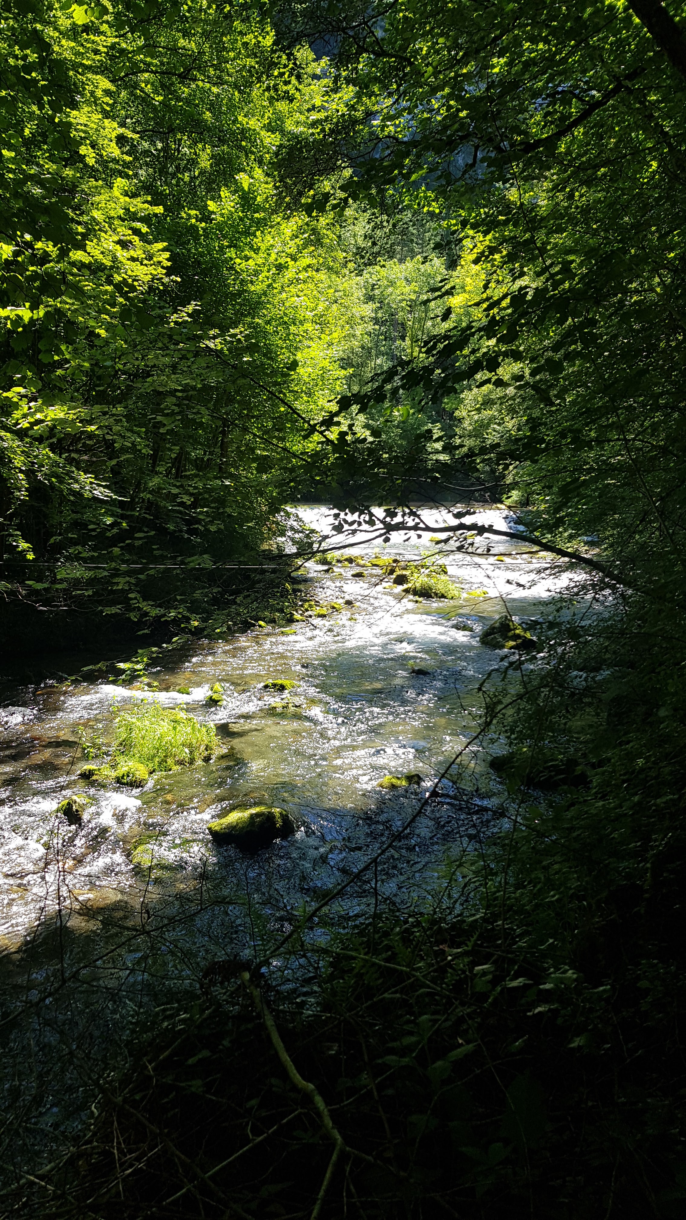 Photo n° 4 de l'avis de marie.o fait le 14/07/2023 à 13:59