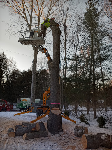 Always There Tree Care LLC image 2