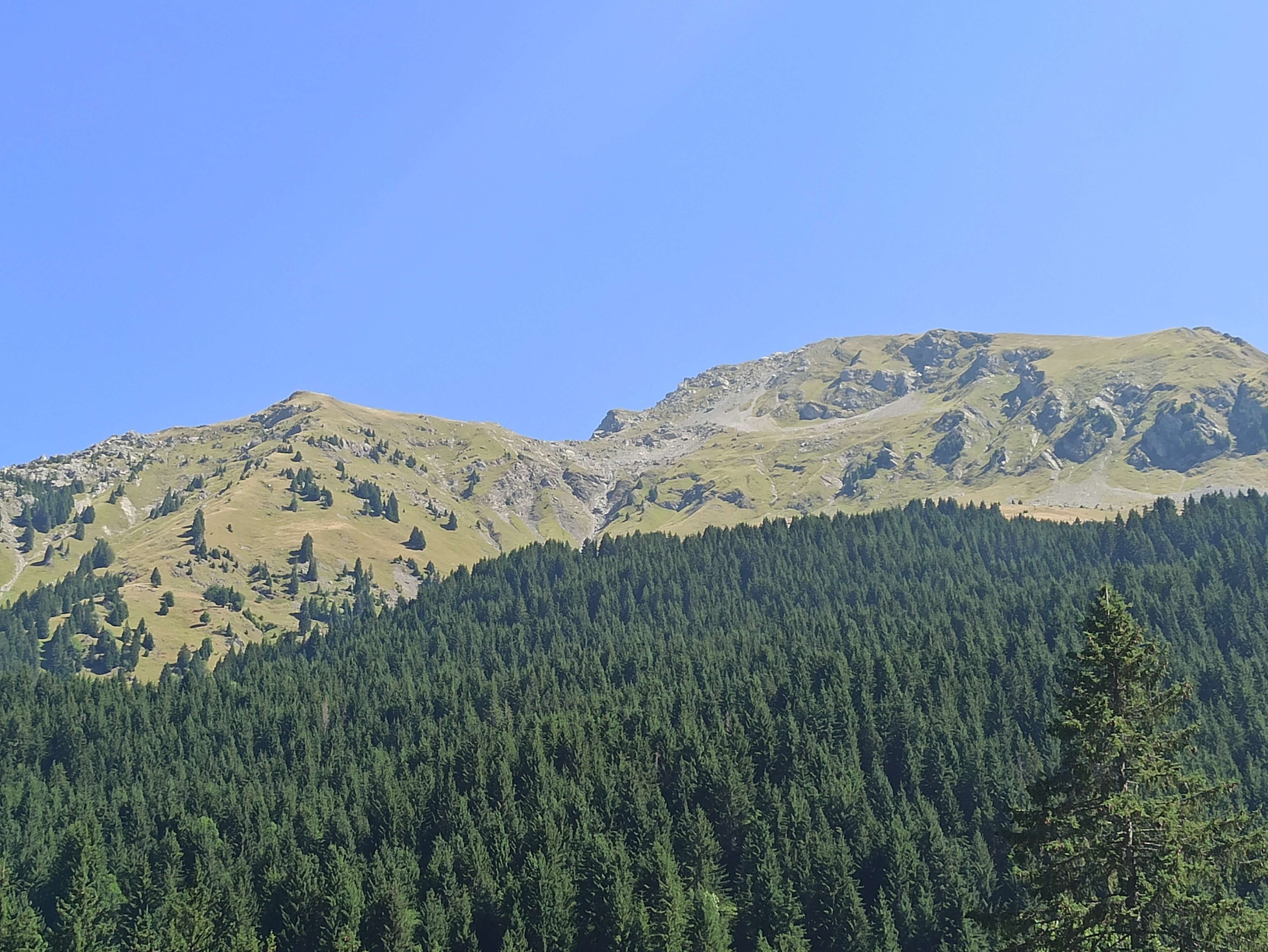 Photo n° 10 de l'avis de Ricou. fait le 16/08/2022 à 18:33