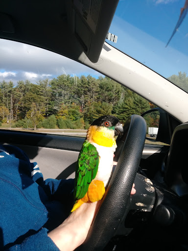 Pet Supply Store «PetSmart», reviews and photos, 67 Consumer Square, Plattsburgh, NY 12901, USA