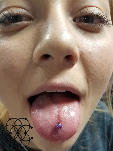 Explore aristocats tattoo ideas, creative tattoo ideas in Sarasota, available at Z-Edge Tattoo & Body Piercing South Shop