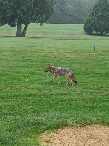 Golf Course «Bellevue Golf Course», reviews and photos, 5500 140th Ave NE, Bellevue, WA 98005, USA