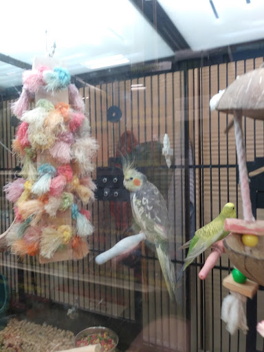 Pet Supply Store «PetSmart», reviews and photos, 300 NJ-18, East Brunswick, NJ 08816, USA