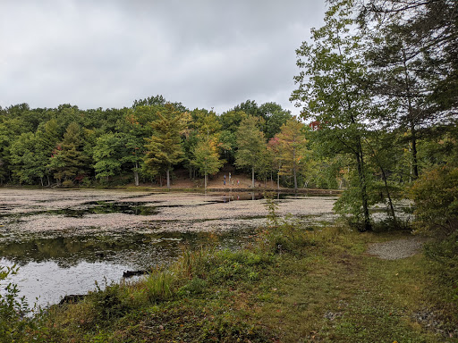 Outdoor Sports Store «Maple Hill Disc Golf», reviews and photos, 132 Marshall St, Leicester, MA 01524, USA
