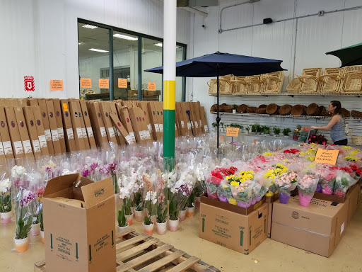 Produce Market «Produce Junction Inc», reviews and photos, 265 S Easton Rd, Glenside, PA 19038, USA