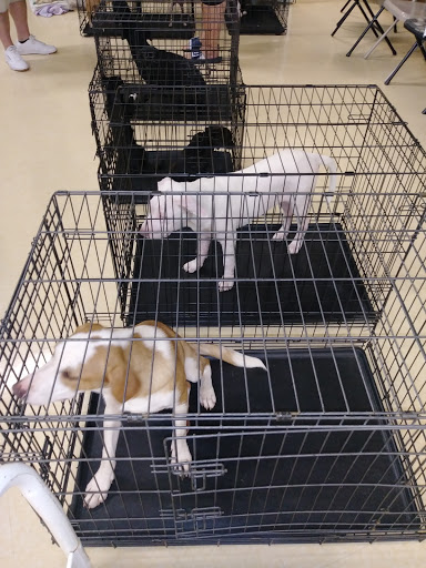 Pet Supply Store «Petco Animal Supplies», reviews and photos, 300 Quaker Ln #3, Warwick, RI 02886, USA