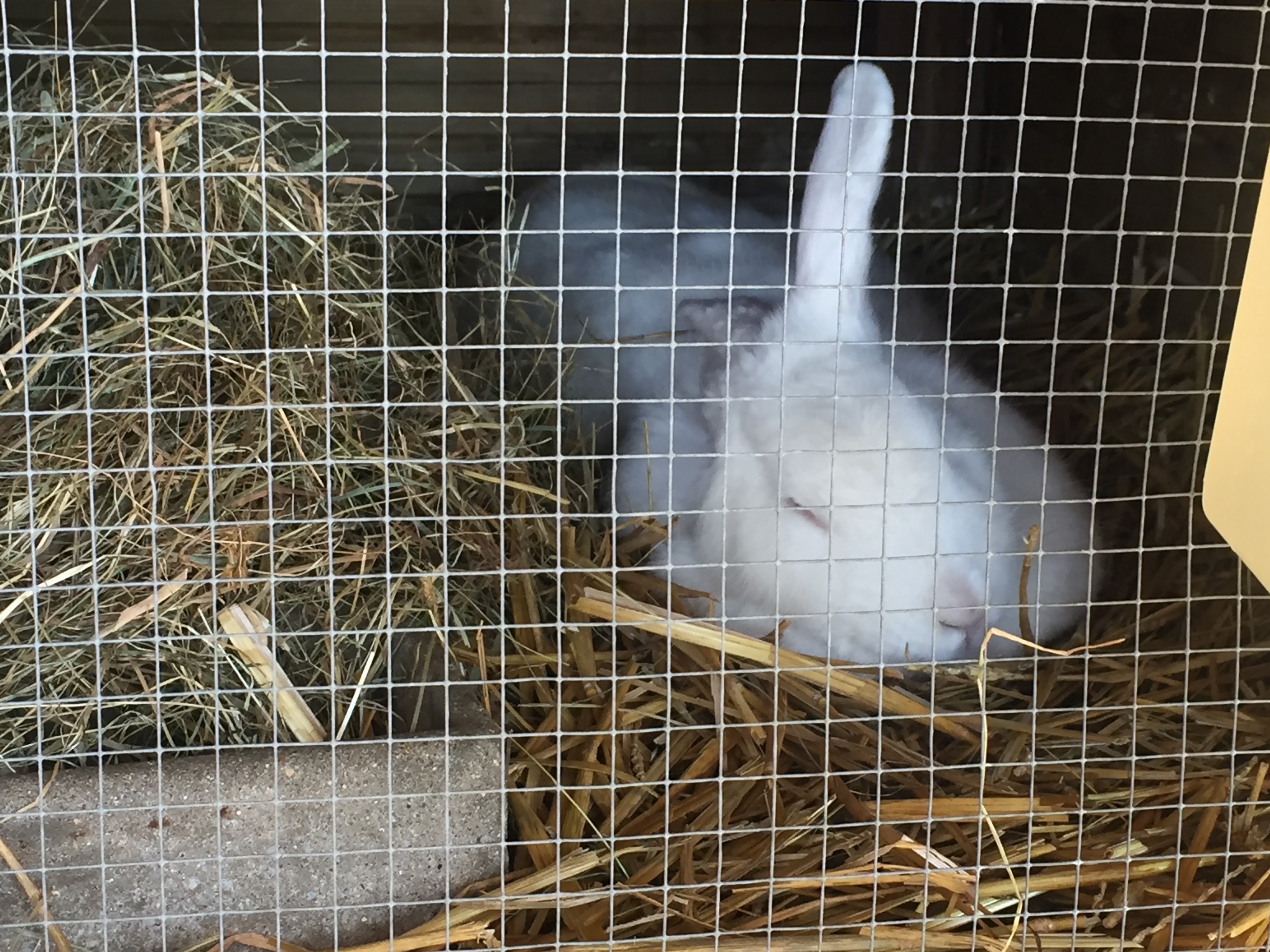 Photo n° 20 de l'avis de lou.o fait le 21/04/2018 à 14:21