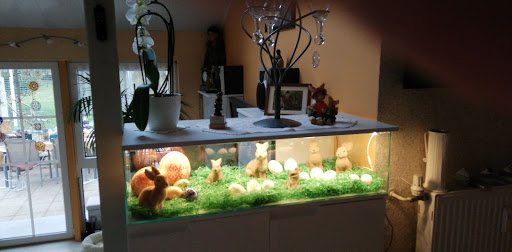 Emmel Gerlinde unter Wölfersheim, 