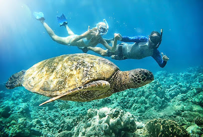 Maui Conservation Snorkel Tours