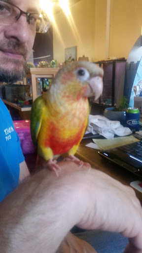 Pet Store «Plattsmouth Pets», reviews and photos, 430 Main St, Plattsmouth, NE 68048, USA