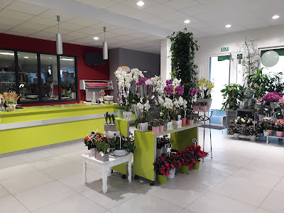 BRIGAND FLEURS à Erdeven