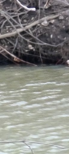 Park «Skokie Northshore Sculpture Park», reviews and photos, McCormick Blvd, Skokie, IL 60076, USA