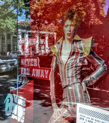 Shoe Store «Vans», reviews and photos, 222 University Ave, Palo Alto, CA 94301, USA