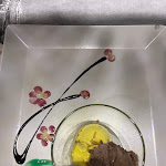 Photo n°10 de l'avis de Martina.n fait le 24/04/2023 à 12:34 sur le  Osaka Sushi Asian Restaurant All You Can Eat Pietrasanta à Pietrasanta