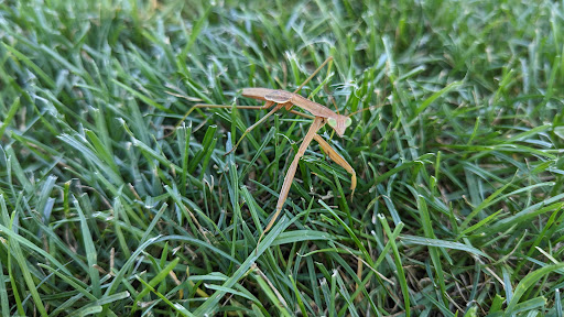 Golf Course «California Golf Course», reviews and photos, 5924 Kellogg Ave, Cincinnati, OH 45228, USA