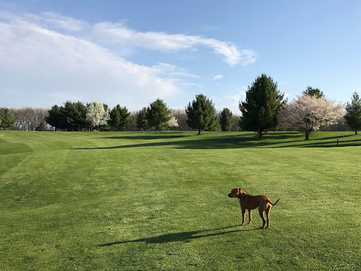 Golf Driving Range «Hickory Ridge Golf Course & Driving Range», reviews and photos, 65 N 30th St, Galesburg, MI 49053, USA