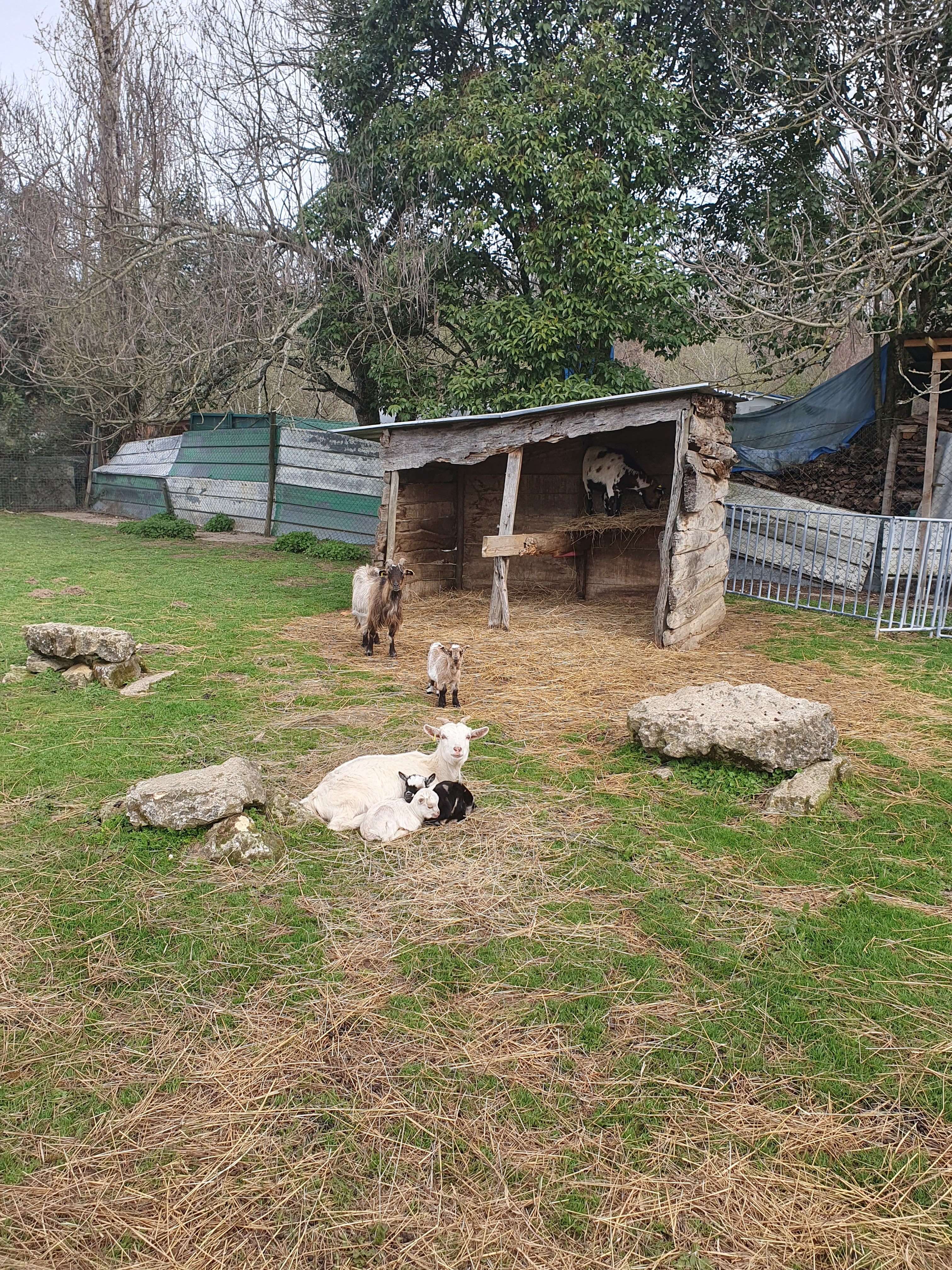 Photo n° 11 de l'avis de laurane.a fait le 11/04/2022 à 15:48