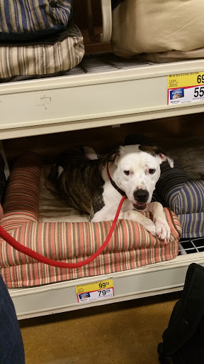 Pet Supply Store «PetSmart», reviews and photos, 860 Cobb Pl Blvd NW, Kennesaw, GA 30144, USA
