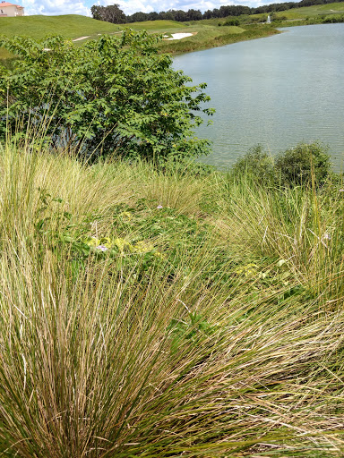 Country Club «Adena Golf and Country Club», reviews and photos, 950 NW 75th St, Ocala, FL 34475, USA