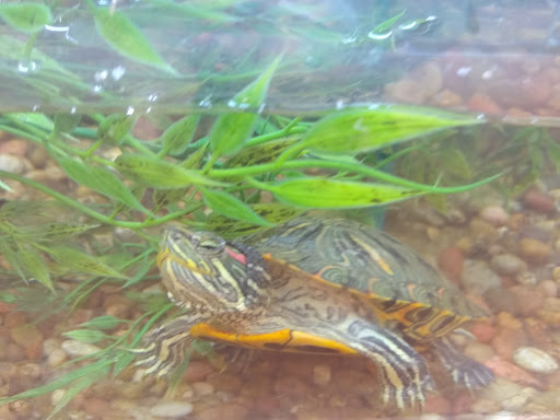 Pet Supply Store «PetSmart», reviews and photos, 16086 Jackson Creek Pkwy, Monument, CO 80132, USA