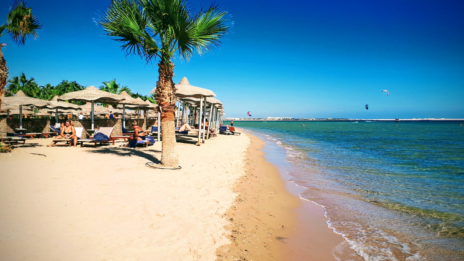 Fotografie cu Albatros Amwaj Blue Beach Resort cu o suprafață de apa pură turcoaz