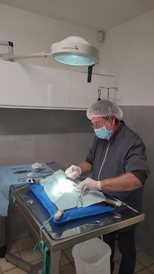 Clinique Vétérinaire Mont-Vet à Montmoreau