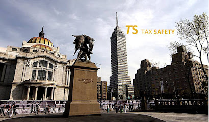 Contador Publico Certificado, Tax Safety