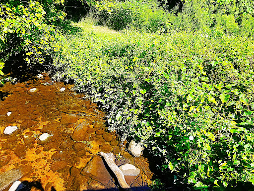 Park «Cass Park», reviews and photos, Cass Avenue, Woonsocket, RI 02895, USA