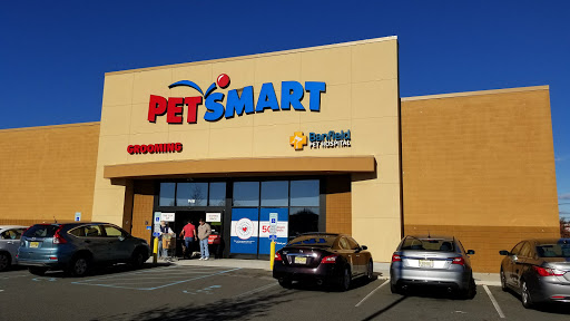 PetSmart, 948 Springfield Rd, Union, NJ 07083, USA, 