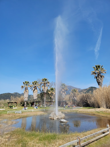 Tourist Attraction «Old Faithful Geyser of California», reviews and photos, 1299 Tubbs Ln, Calistoga, CA 94515, USA