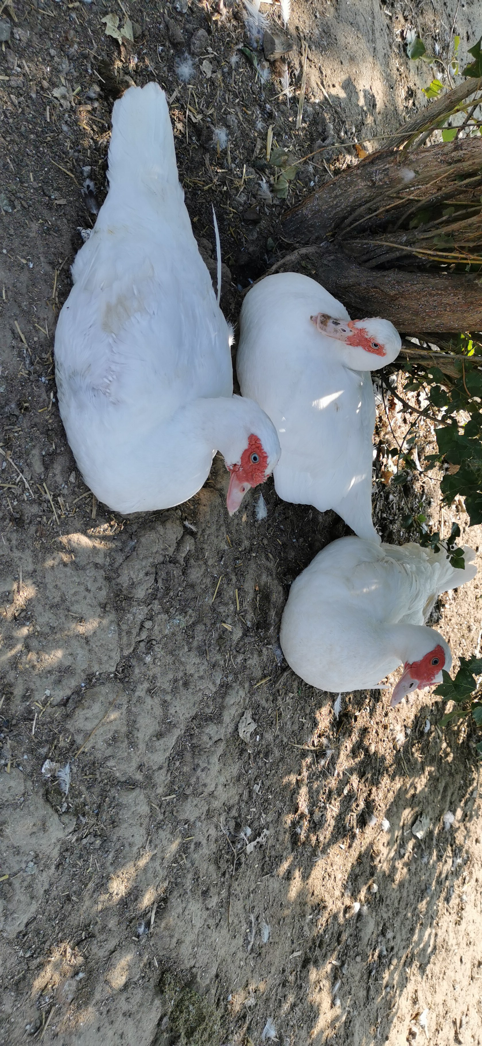 Photo n° 8 de l'avis de A..L fait le 08/12/2020 à 11:06