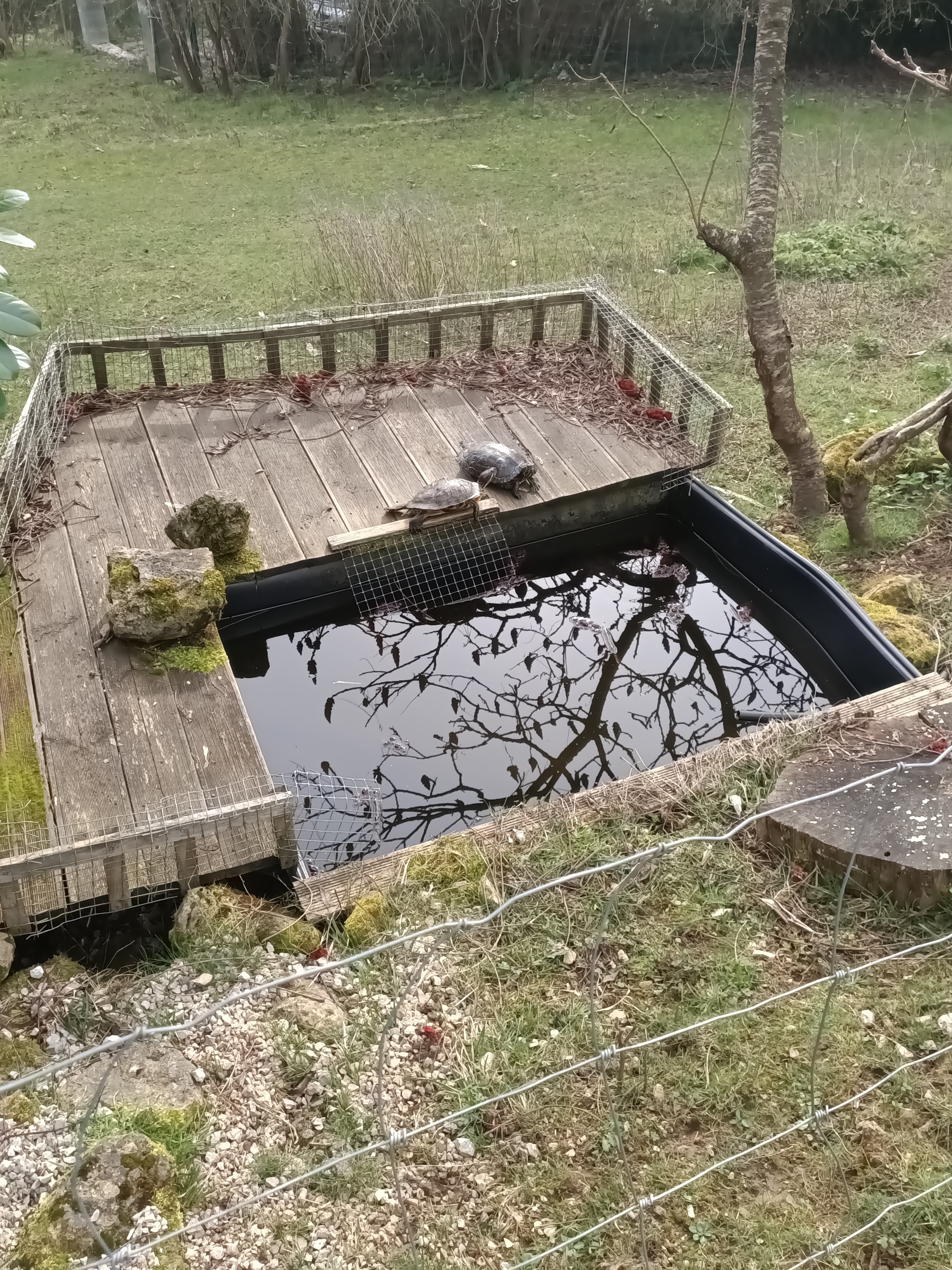 Photo n° 2 de l'avis de Dufau.a fait le 21/02/2024 à 14:51