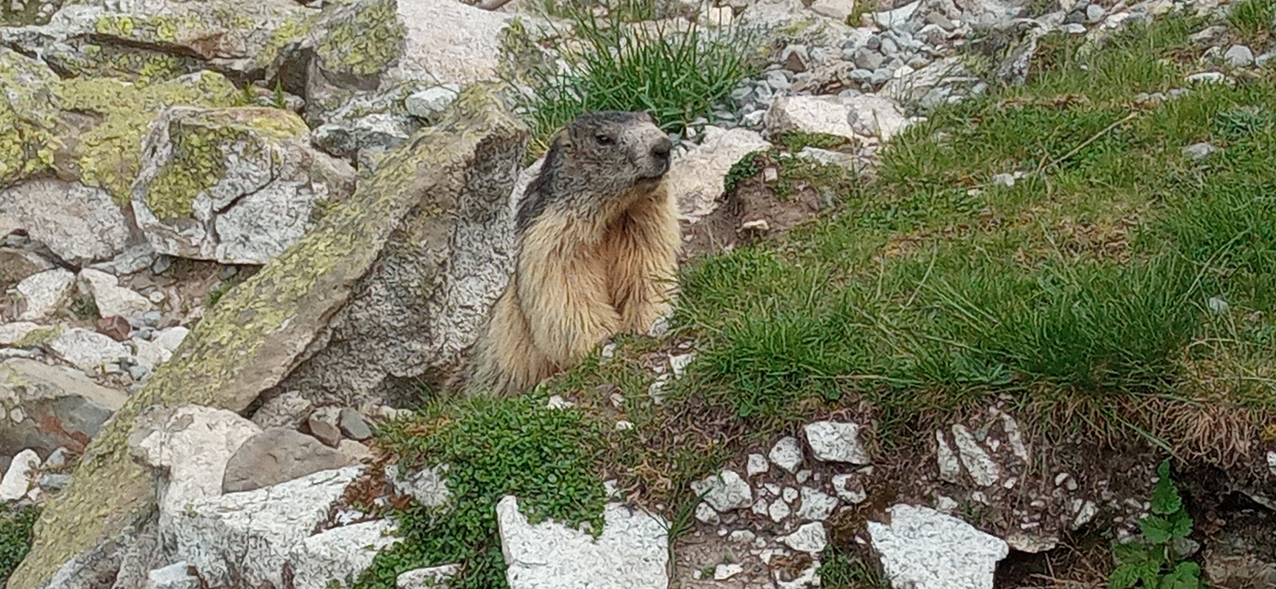 Photo n° 2 de l'avis de eric.a fait le 02/06/2022 à 17:31