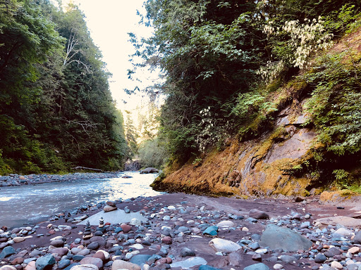 Tourist Attraction «Melmont ghost town», reviews and photos, Carbon River Rd, Carbonado, WA 98323, USA