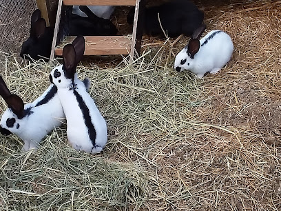 Haarlev kaninfarm