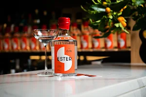 Ester Spirits image