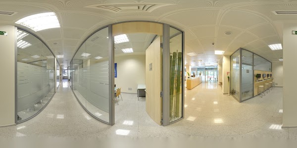 Imagen de American Language Academy (9 de 11)