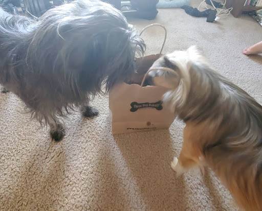 Pet Supply Store «Three Dog Bakery Inc», reviews and photos, 13904 Town Center Blvd # 200, Noblesville, IN 46060, USA