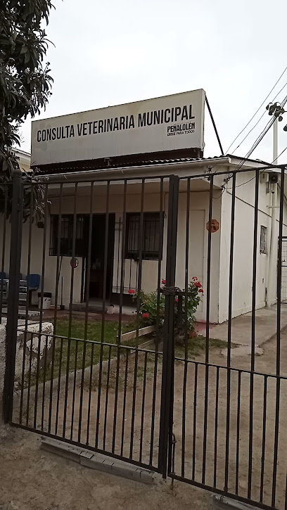 Veterinaria San Luis, Peñalolén