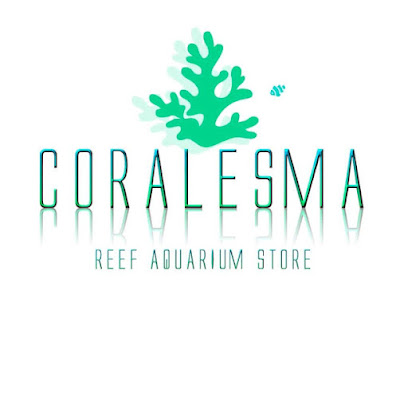 Coralesma - Servicios para mascota en Ourense
