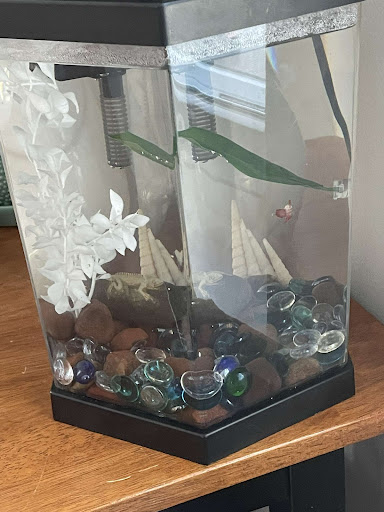 Pet Supply Store «Petco Animal Supplies», reviews and photos, 710 W 66th St, Richfield, MN 55423, USA