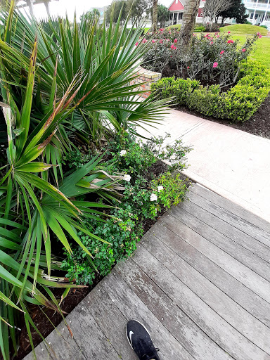 Coffee Shop «Sugar Bean Coffee and Cream», reviews and photos, 11 Evia Main, Galveston, TX 77554, USA