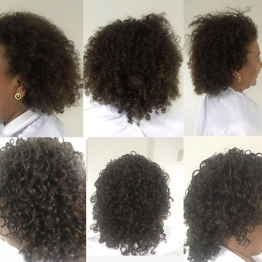 Maple Tree Curly Hair