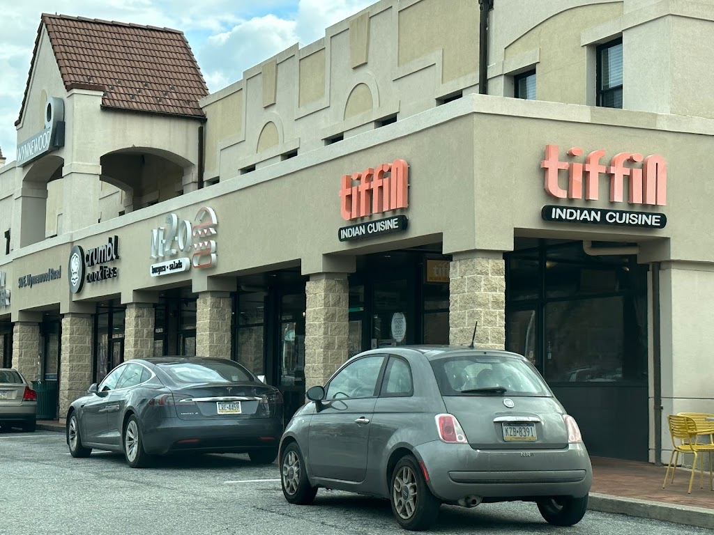 Tiffin Indian Cuisine Wynnewood 19096