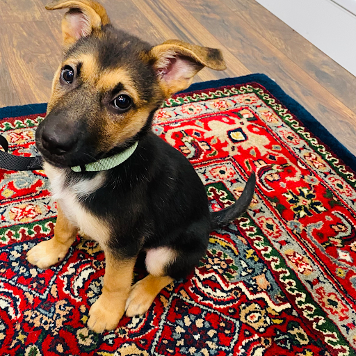 Insurance Agency «Chris Lerchen - State Farm Insurance Agent», reviews and photos