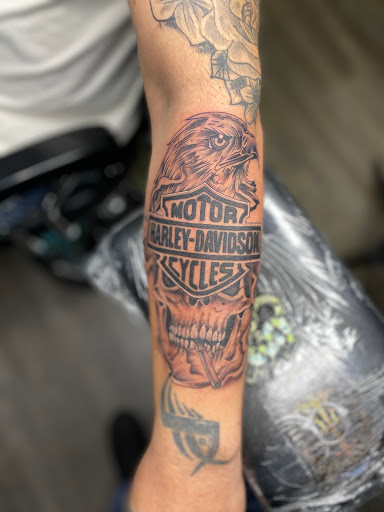 Find dino tattoo ideas for your next unique tattoo in Ottawa at Dreams & Themes Tattoo Studio