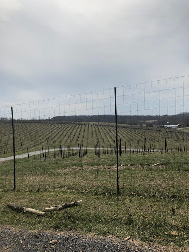 Vineyard «Elk Run Vineyards», reviews and photos, 15113 Liberty Rd, Mt Airy, MD 21771, USA