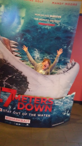 Movie Theater «AMC Cherry Blossom 14», reviews and photos, 3825 Marketplace Cir, Traverse City, MI 49684, USA